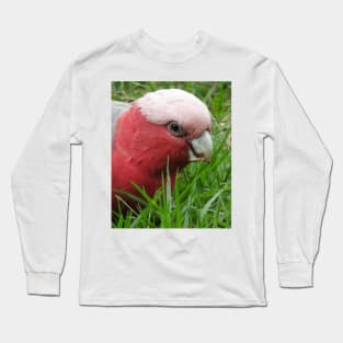 Galah Long Sleeve T-Shirt